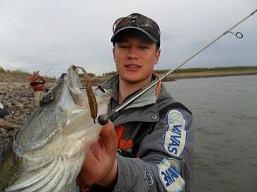 Fish Tail Shad