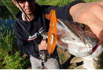 Slim Shad