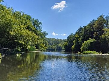 За річковим окунем