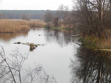 В ноябре на малой глубине