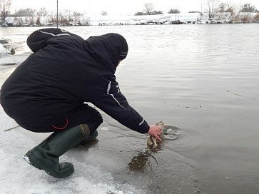 За щукой в январе