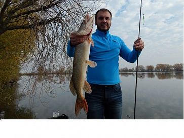 За річковою щукою восени