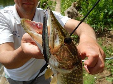 LB Minnow 80SP, Balance 72SP, Assassin 80F, Buffet FF50