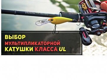 Daiwa. Выбор мультипликаторной катушки для ультралайтовой и лайтовой ловли. Часть 1