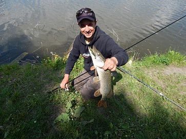 Щука в червні