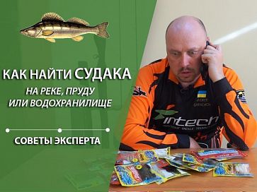(Видео) Как найти судака на реке, пруду или водохранилище | Советы эксперта