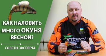 (Видео) Как наловить много окуня весной? | Советы эксперта