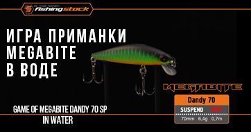 Игра в воде воблера Megabite Dandy 70 SP | Game of Megabite Dandy 70 SP bait in the water